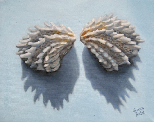 Contemplation: Jewel Box Shells Take Flight by Susanna Pantas